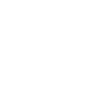 Plus